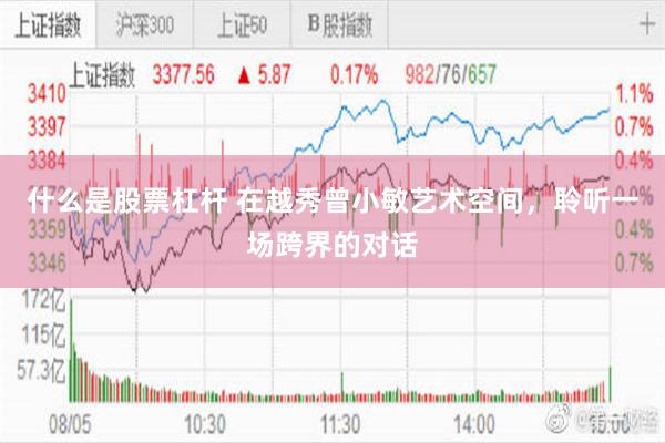 什么是股票杠杆 在越秀曾小敏艺术空间，聆听一场跨界的对话