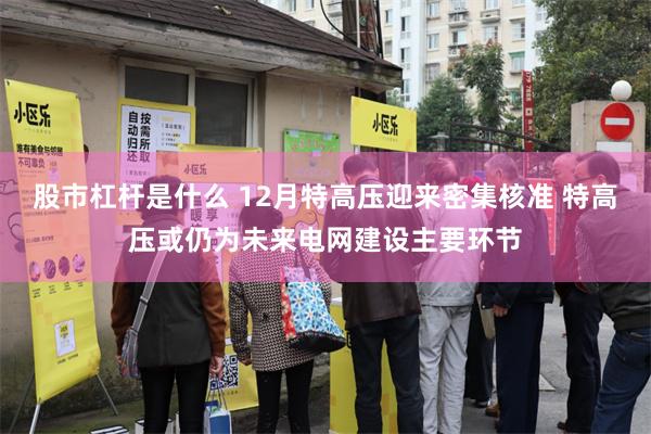 股市杠杆是什么 12月特高压迎来密集核准 特高压或仍为未来电网建设主要环节