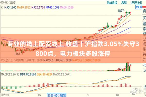 专业的线上配资线上 收盘｜沪指跌3.05%失守3800点，电力板块多股涨停