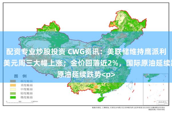 配资专业炒股投资 CWG资讯：美联储维持鹰派利率不变，美元周三大幅上涨；金价回落近2%，国际原油延续跌势<p>