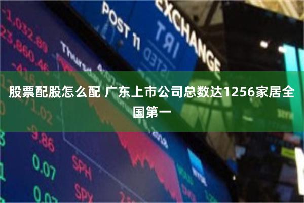 股票配股怎么配 广东上市公司总数达1256家居全国第一
