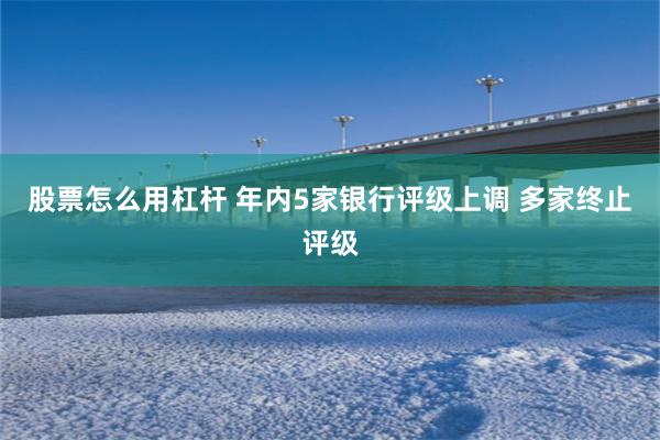 股票怎么用杠杆 年内5家银行评级上调 多家终止评级