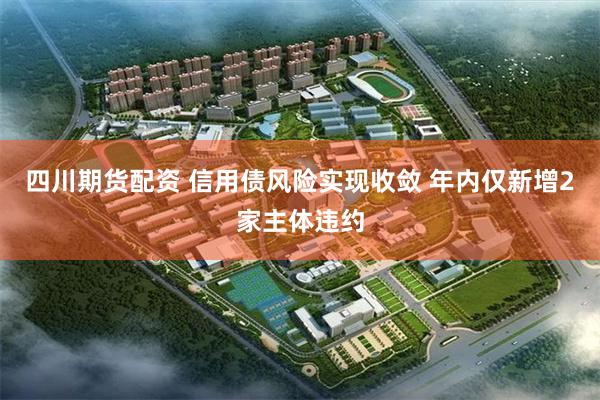 四川期货配资 信用债风险实现收敛 年内仅新增2家主体违约