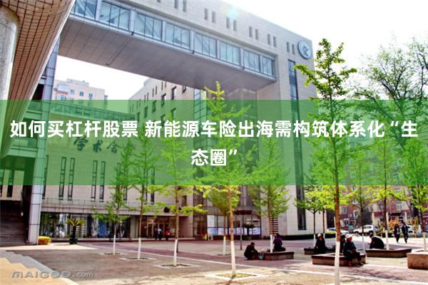 如何买杠杆股票 新能源车险出海需构筑体系化“生态圈”