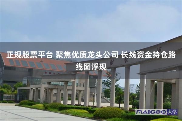 正规股票平台 聚焦优质龙头公司 长线资金持仓路线图浮现