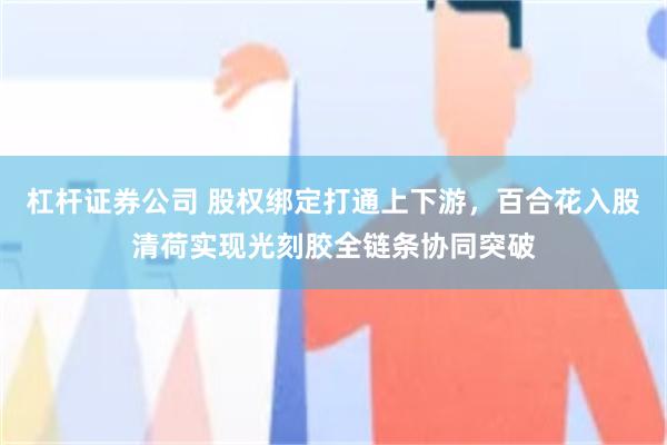 杠杆证券公司 股权绑定打通上下游,百合花入股清荷实现光刻胶全链条协同突破