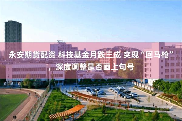 永安期货配资 科技基金月跌三成 突现“回马枪”，深度调整是否画上句号