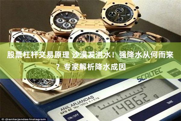 股票杠杆交易原理 沙漠发洪水！强降水从何而来？专家解析降水成因
