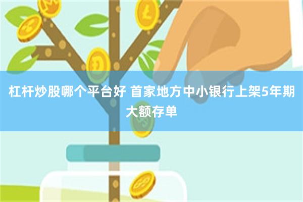 杠杆炒股哪个平台好 首家地方中小银行上架5年期大额存单