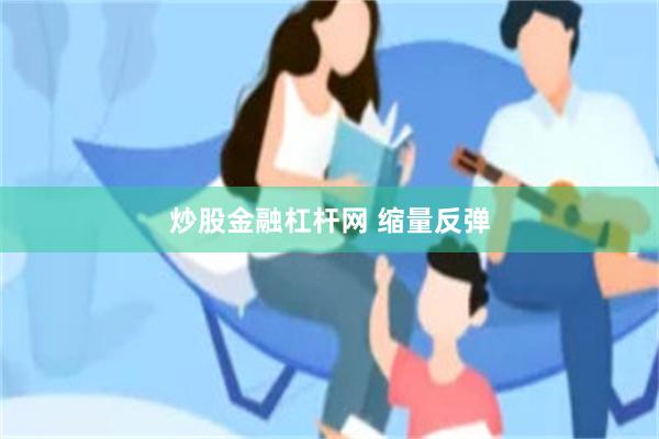 炒股金融杠杆网 缩量反弹