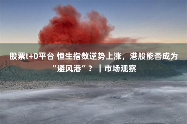 股票t+0平台 恒生指数逆势上涨,港股能否成为“避风港”?|市场观察