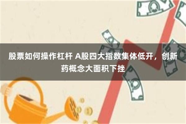 股票如何操作杠杆 A股四大指数集体低开，创新药概念大面积下挫