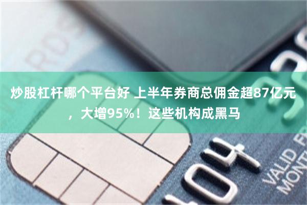 炒股杠杆哪个平台好 上半年券商总佣金超87亿元，大增95%！这些机构成黑马