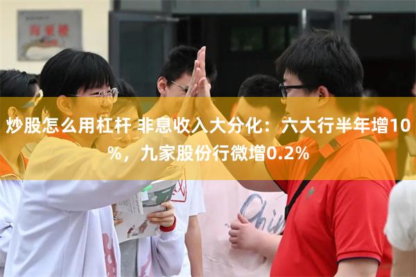 炒股怎么用杠杆 非息收入大分化：六大行半年增10%，九家股份行微增0.2%