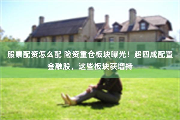 股票配资怎么配 险资重仓板块曝光！超四成配置金融股，这些板块获增持