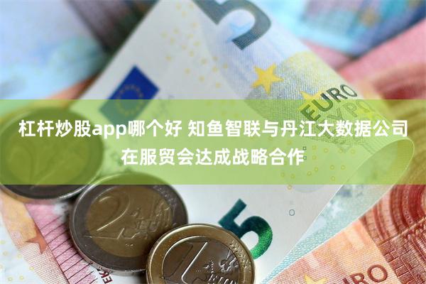 杠杆炒股app哪个好 知鱼智联与丹江大数据公司在服贸会达成战略合作