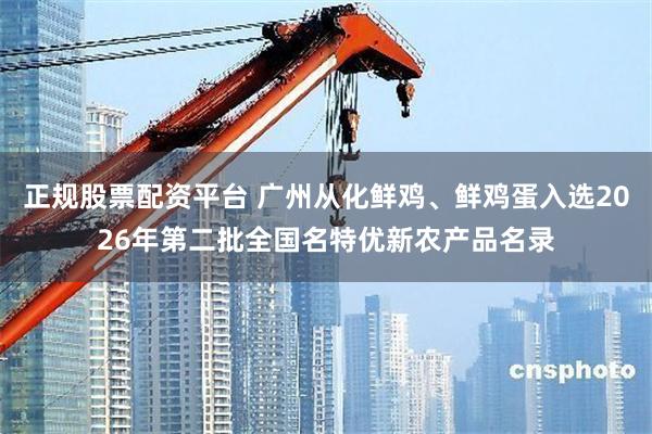 正规股票配资平台 广州从化鲜鸡、鲜鸡蛋入选2026年第二批全国名特优新农产品名录