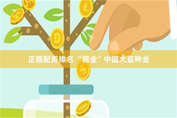 正规配资排名 “掘金”中国大豆种业